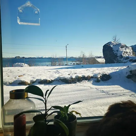 Lofoten Seaview B דירה *