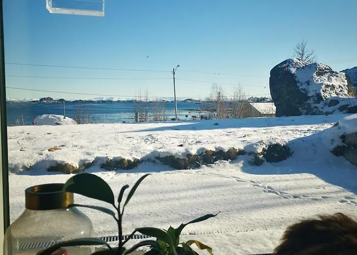 Lofoten Seaview B Lejlighed *