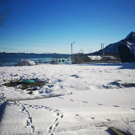 Lofoten Seaview B * Sennesvik